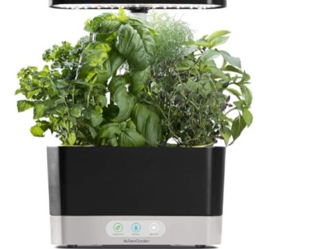 Vegan Plant Food for Aerogarden and Other Hydroponic Gardens